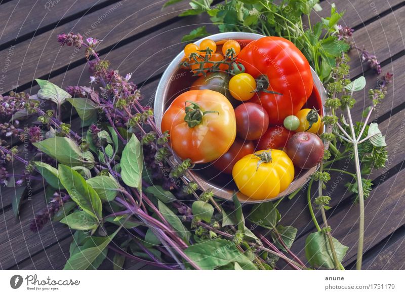 All kinds of tomatoes with fresh herbs Food Vegetable Lettuce Salad Herbs and spices Nutrition Organic produce Vegetarian diet Diet Slow food Italian Food Bowl