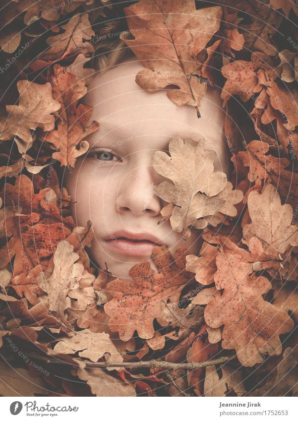 In autumn Thanksgiving Masculine Boy (child) Face 1 Human being Nature Plant Autumn Leaf Observe Looking Dream Warmth Protection Safety (feeling of) Climate