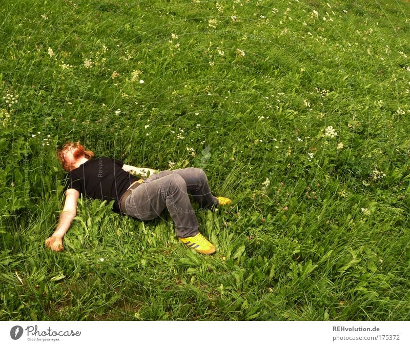 Young man lies in a meadow Colour photo Exterior shot Copy Space right Copy Space top Day Sunlight Full-length Joy Happy Human being Masculine