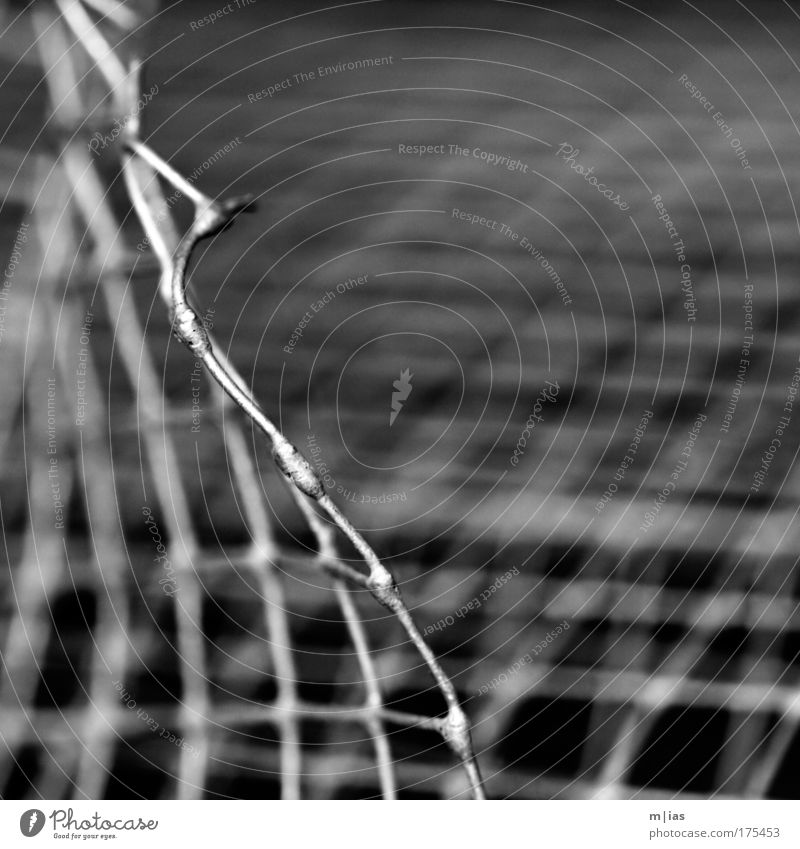 the silence of the grid. Black & white photo Subdued colour Exterior shot Close-up Detail Macro (Extreme close-up) Pattern Structures and shapes Deserted