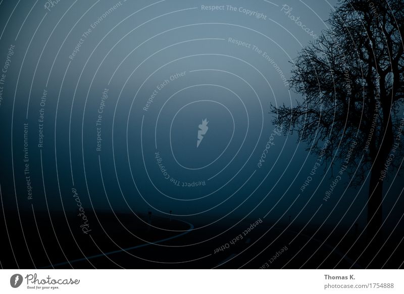 A journey into the unknown Environment Landscape Weather Bad weather Fog Motoring Traffic accident Street Driving Threat Creepy Cold Wet Blue Sadness Concern