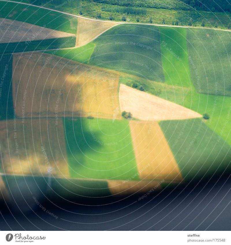 4-field economy Colour photo Exterior shot Aerial photograph Copy Space bottom Day Shadow Bird's-eye view Landscape Summer Grain Grain field Grain harvest Field