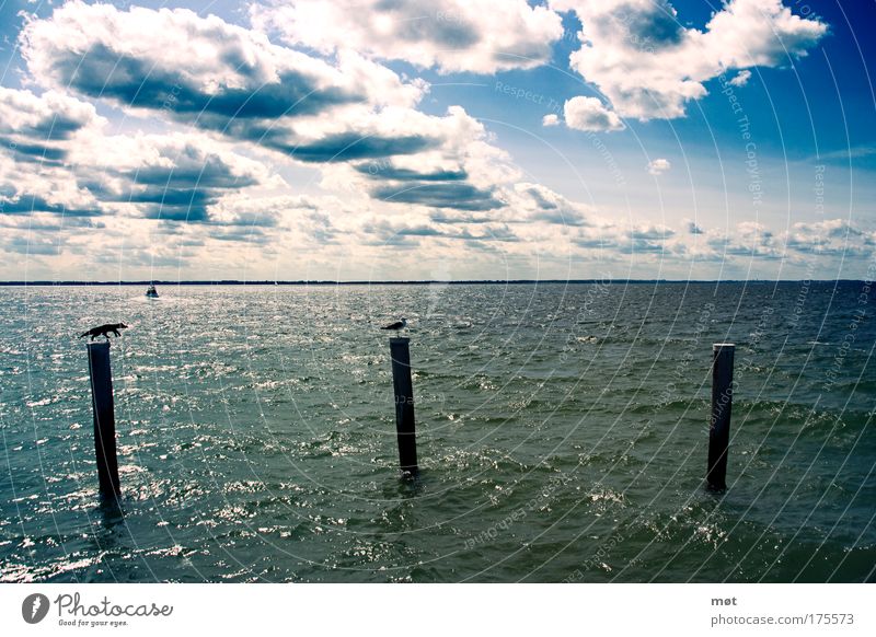 All good things come in threes. Colour photo Exterior shot Day Deep depth of field Wide angle Vacation & Travel Summer Sun Ocean Waves Nature Air Water Sky