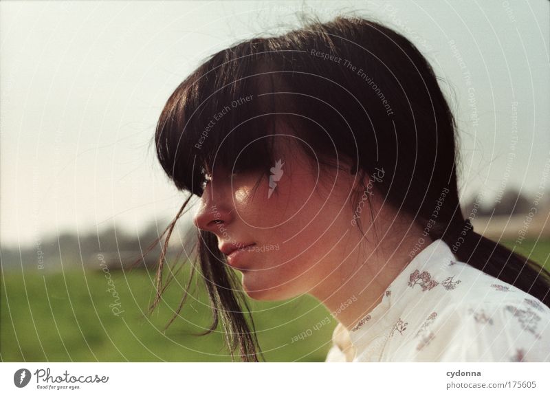 view of the Elbe Colour photo Exterior shot Close-up Detail Copy Space left Day Shadow Contrast Sunlight Deep depth of field Long shot Portrait photograph