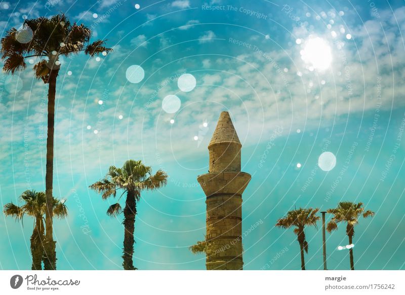 Ancient mosque with palm trees and blue sky Vacation & Travel Tourism Trip Adventure Far-off places Sightseeing Summer Summer vacation Sun Art Culture Tree