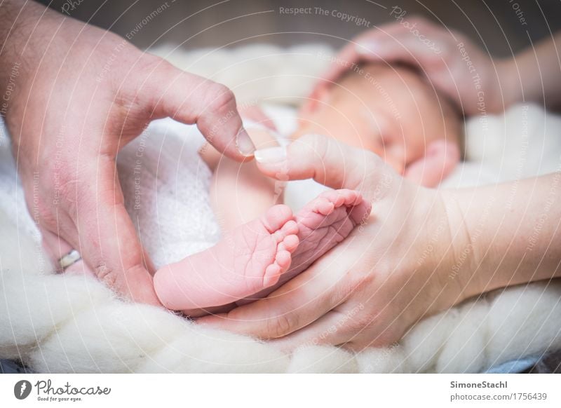 Footsteps Human Being Baby A Royalty Free Stock Photo From Photocase