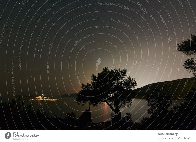 Light of the distance at the olive tree Nature Landscape Water Sky Cloudless sky Night sky Stars Summer Tree Hill Coast Ocean Montenegro Europe Wait Esthetic