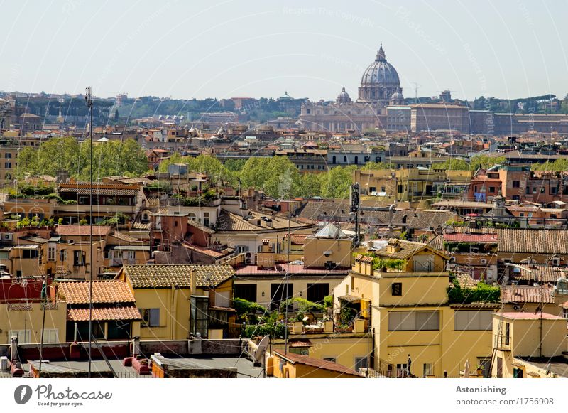 Rome with St Peter's Basilica Environment Nature Sky Horizon Plant Tree Italy Town Capital city Skyline House (Residential Structure) Church Dome Tower