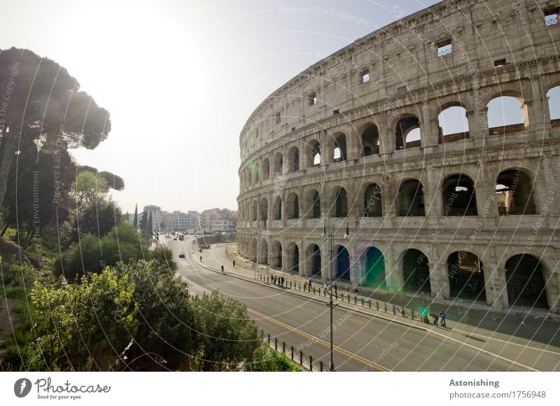 Colosseum Environment Nature Air Sky Clouds Sun Sunlight Spring Weather Plant Tree Bushes Garden Park Rome Italy Town Capital city Gate Manmade structures