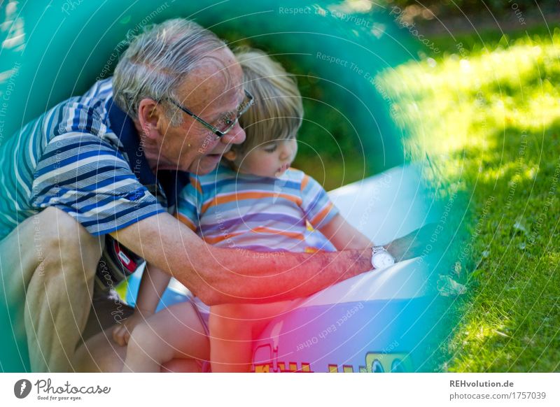summer memory Human being Masculine Man Adults Male senior Grandfather Infancy Senior citizen 1 1 - 3 years Toddler 60 years and older Environment Nature Summer
