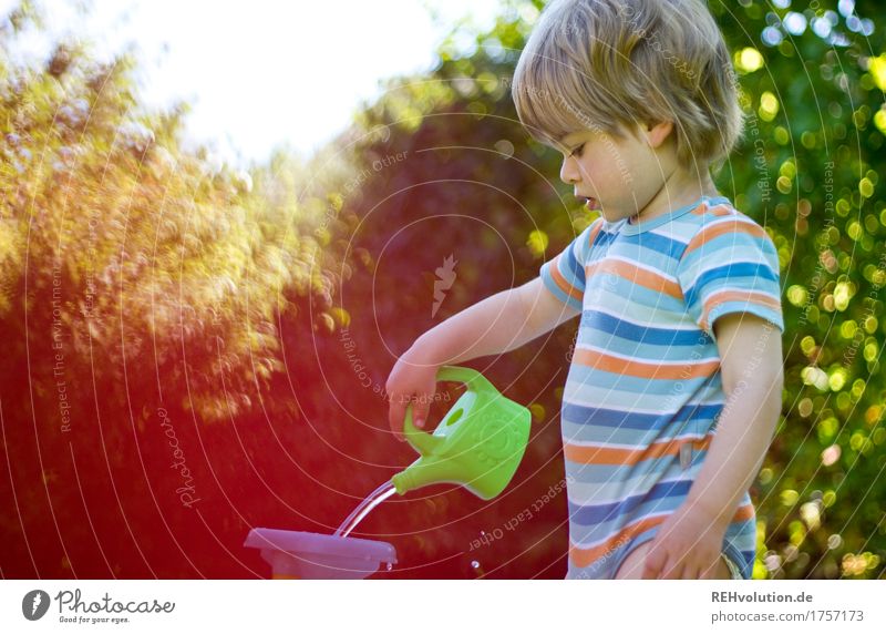 summer job Vacation & Travel Human being Masculine Child Toddler Boy (child) 1 1 - 3 years Environment Nature Garden Watering can Playing Blonde Small Natural