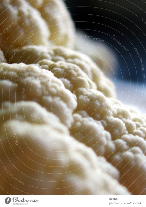 feed clouds Nutrition Cabbage Cauliflower Vegetable Organic produce Healthy Vitamin White Vegetarian diet Food Food photograph Fresh Delicious Blur Side dish