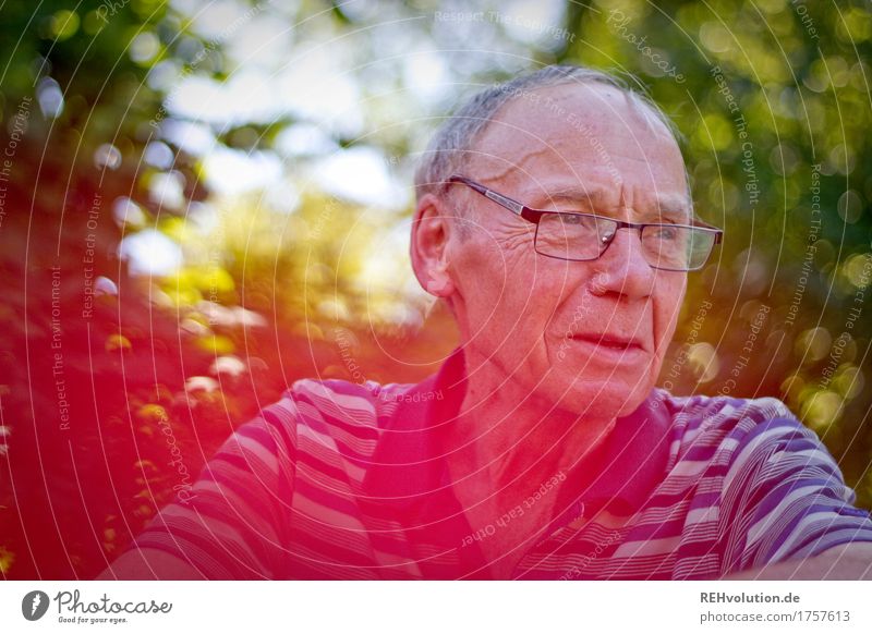 senior in the garden Human being Masculine Man Adults Male senior Grandfather Face 1 60 years and older Senior citizen Environment Nature bushes Eyeglasses