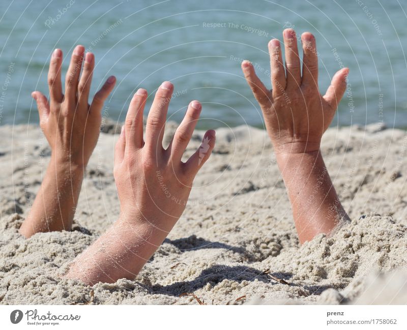 everything must go Skin Hand Fingers 3 Human being Environment Nature Landscape Summer Beautiful weather Baltic Sea Blue Gray Sand Beach Vacation & Travel Darss