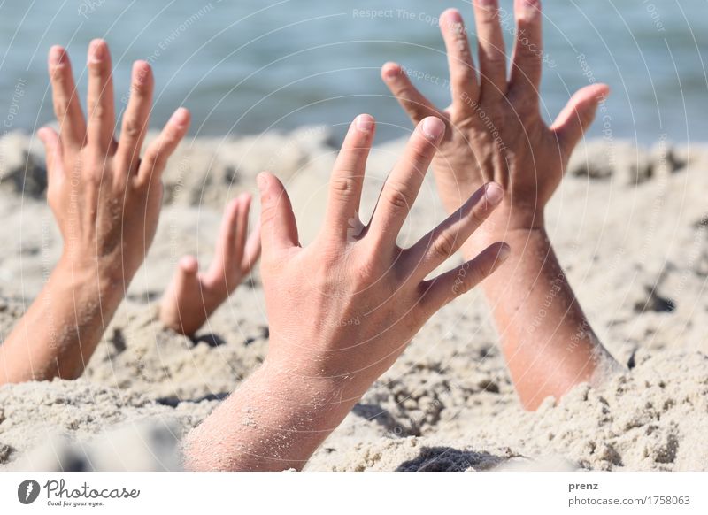 crafted Human being Masculine Feminine Body Arm Hand Fingers 4 18 - 30 years Youth (Young adults) Adults Landscape Sand Spring Summer Beautiful weather Coast