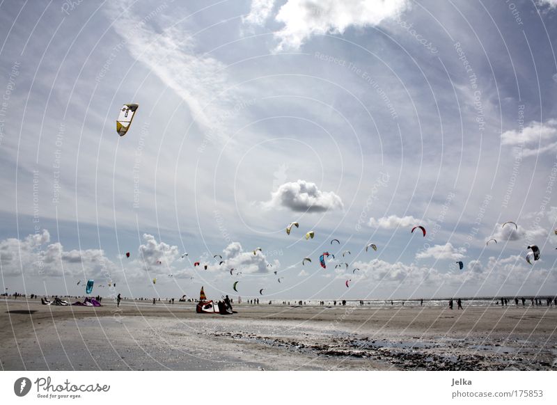 a day in summer Vacation & Travel Sports Aquatics Sporting event Surfing Surfer Kiting Kiter Water Sky Clouds Beautiful weather Coast North Sea Ocean