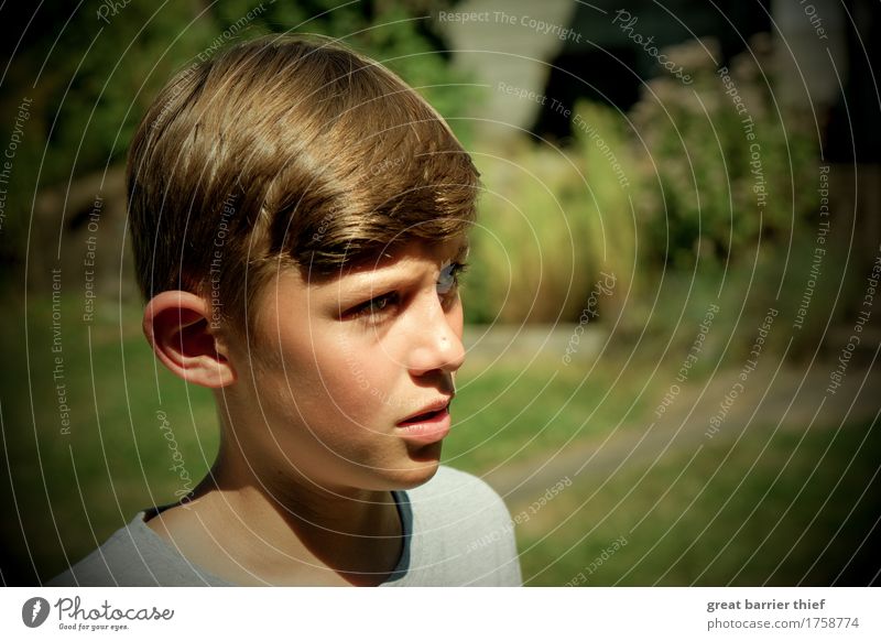 Boy in the garden Human being Masculine Child Boy (child) Brother Family & Relations Infancy Head 1 8 - 13 years Brunette Short-haired Observe Authentic Green