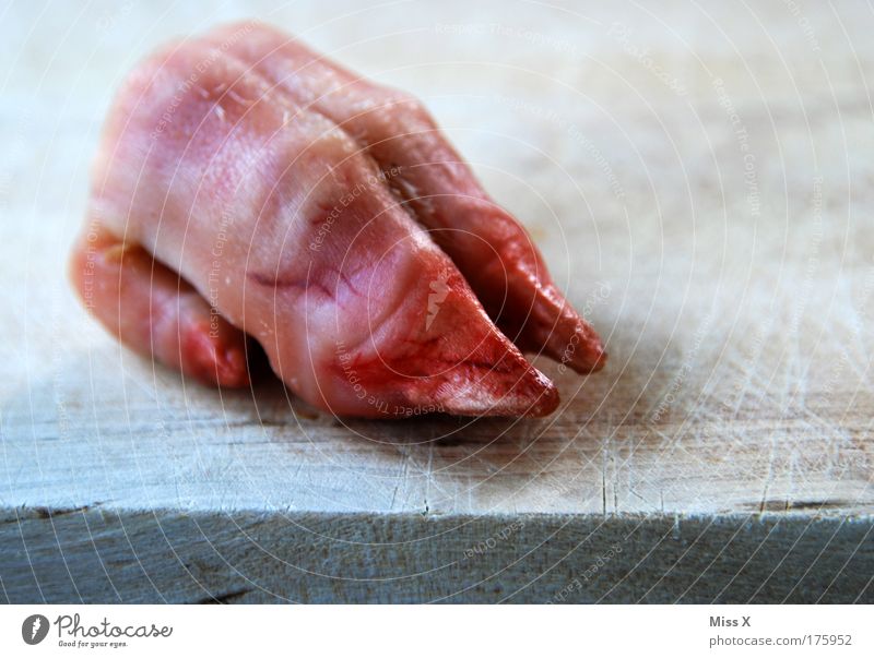 aspic II Food Meat Nutrition Asian Food Farm animal Paw Disgust Exotic Hideous Swine Pork Animal foot Butcher Blood Ingredients Colour photo Interior shot