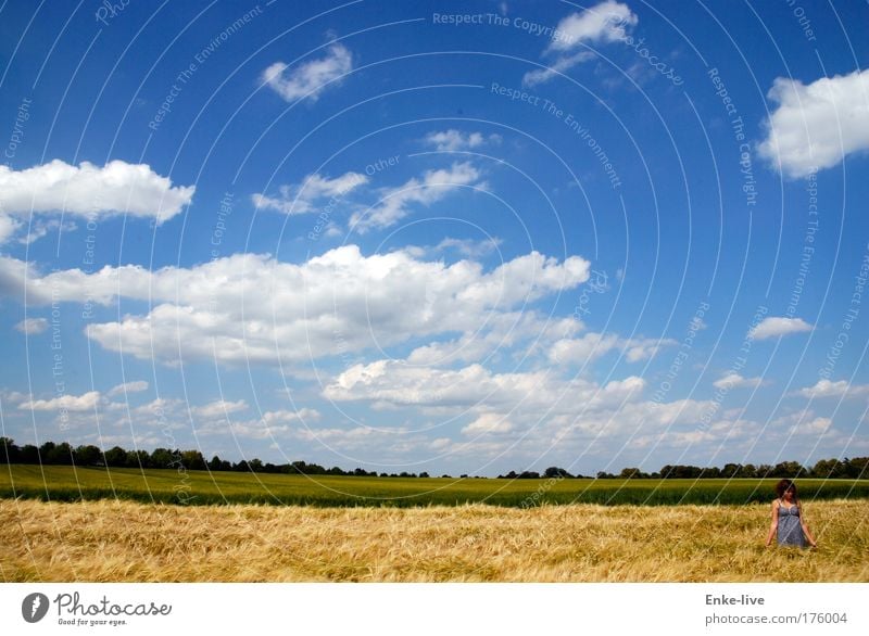 <beautiful day> Colour photo Multicoloured Exterior shot Aerial photograph Copy Space left Copy Space right Copy Space top Copy Space bottom Copy Space middle