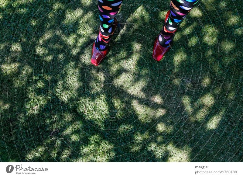 Pinpoint landing: Girl - legs with coloured dots on the stockings standing on a meadow under a tree Feminine Woman Adults Legs Feet 1 Human being Nature Earth