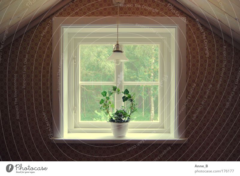 Swedish symmetry Living or residing Flat (apartment) Interior design Lamp Wallpaper Room Attic Foliage plant Pot plant Dream house Wall (barrier)