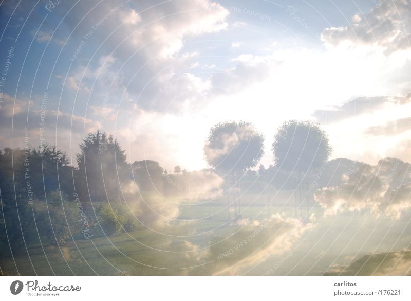 lucy in the sky with diamonds Experimental Light Light (Natural Phenomenon) Back-light Long exposure Wide angle Intoxicant Calm Freedom Clouds Climate Tree