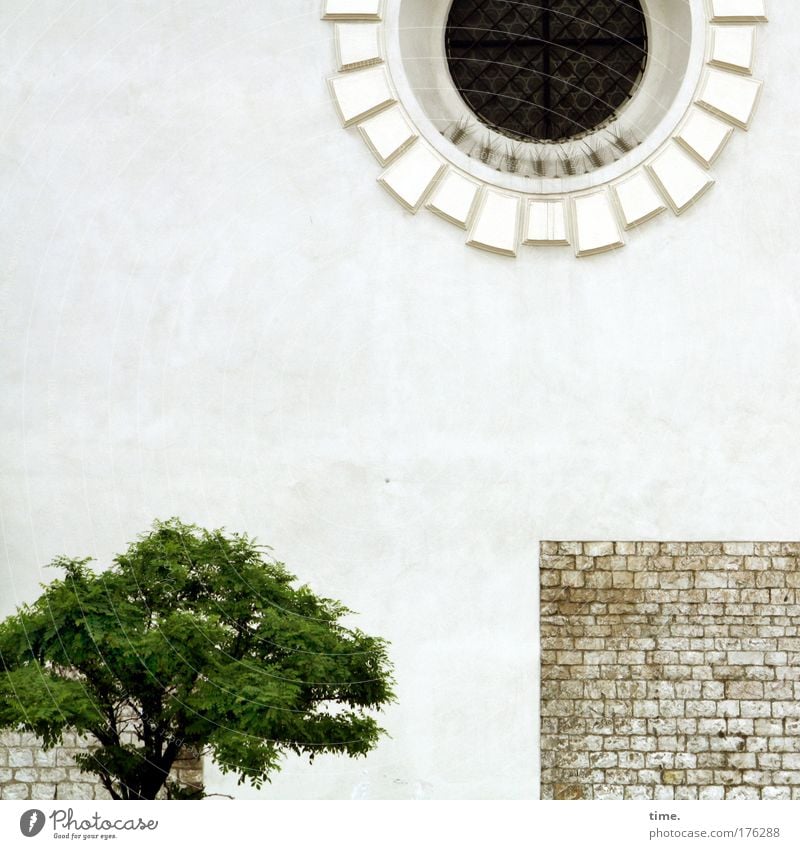 Base and superstructure (religious style) Tree Green Small Wall (barrier) Stone Brick Historic Church Chapel Window Arch Whitewashed History of the Decoration