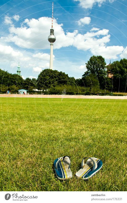 palace square Berlin Capital city Skyline Summer Clouds Vacation & Travel Meadow Lawn Lawn for sunbathing Grass Castle Hohenzollern Berlin TV Tower