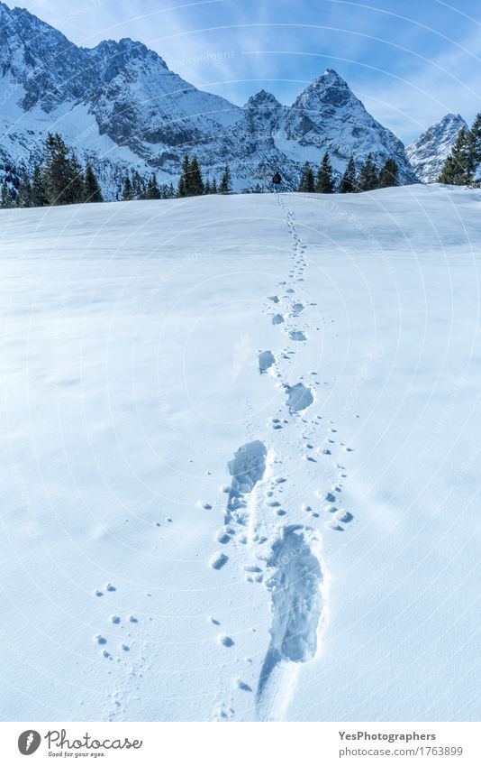 Alpine path of footsteps in the snow Joy Calm Adventure Freedom Winter Snow Mountain New Year's Eve Weather Tree Alps Peak Tourist Attraction Lanes & trails