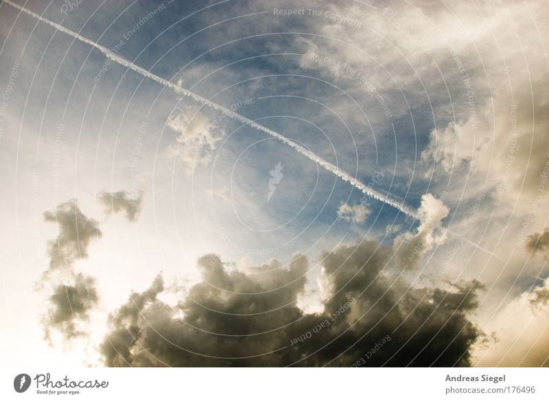 summer clouds Colour photo Exterior shot Deserted Copy Space top Light Shadow Contrast Sunlight Environment Nature Air Sky only Clouds Summer Climate