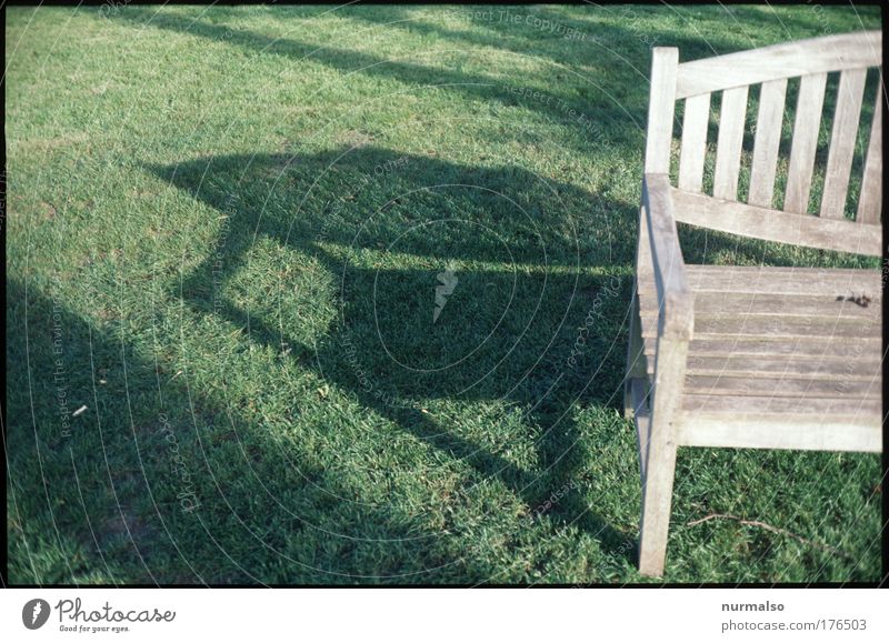 Bank in the morning . . . Colour photo Morning House (Residential Structure) Garden Bench Garden bench Nature Summer Grass Park Meadow Deserted Dream house