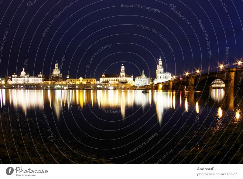 thresh Colour photo Exterior shot Copy Space top Copy Space bottom Night Reflection Dresden Town Capital city Downtown Old town Church Castle Tourist Attraction
