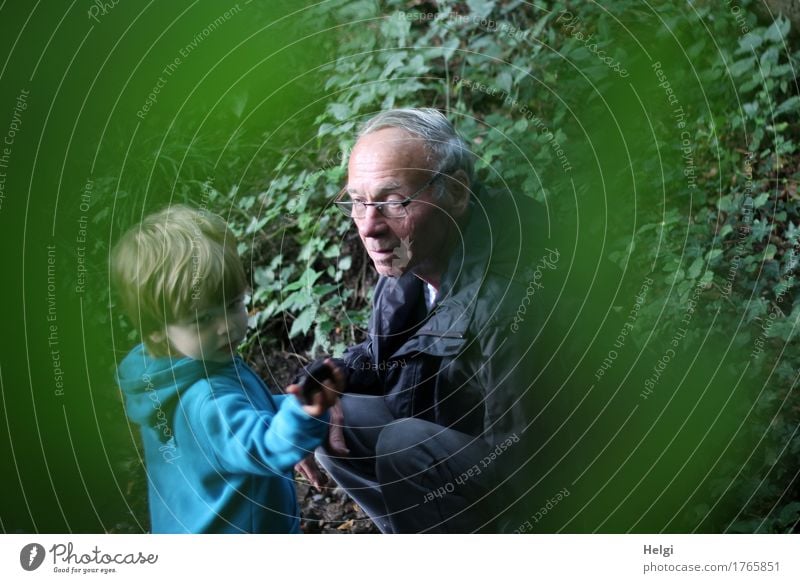 little boy and his grandpa on a discovery tour in the forest Human being Masculine Toddler Male senior Man Infancy Senior citizen 2 1 - 3 years