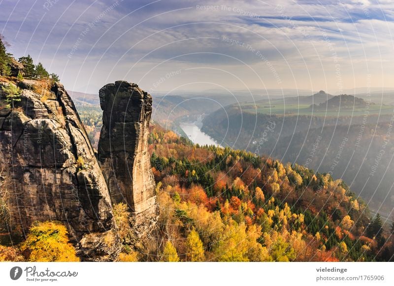 View of the Teufelsturm and the Elbe valley Vacation & Travel Tourism Mountain Hiking Nature Landscape Horizon Autumn Rock Stone Moody Idyll Evening sun outlook