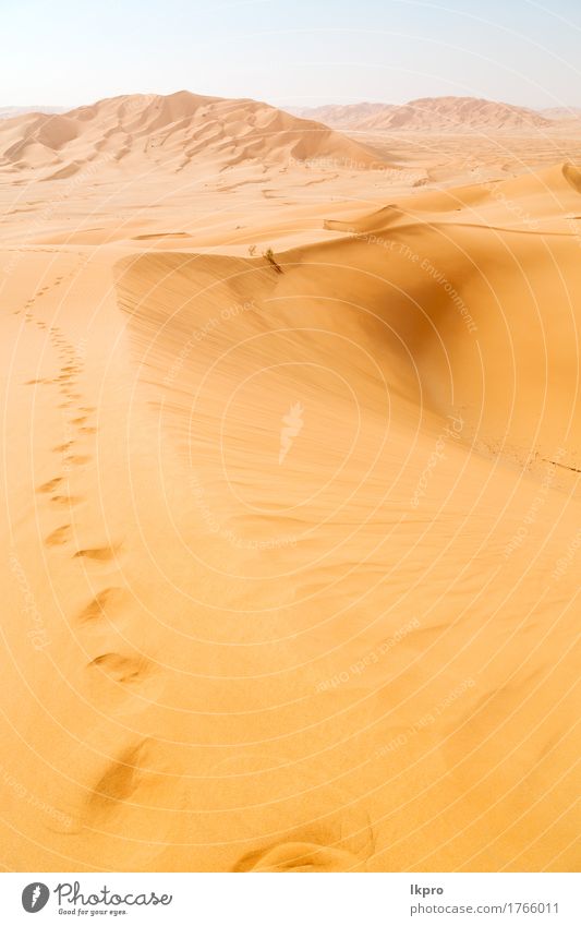 outdoor sand dune in oman old desert rub al khali Beautiful Vacation & Travel Tourism Adventure Safari Summer Sun Nature Landscape Sand Sky Horizon Park Hill