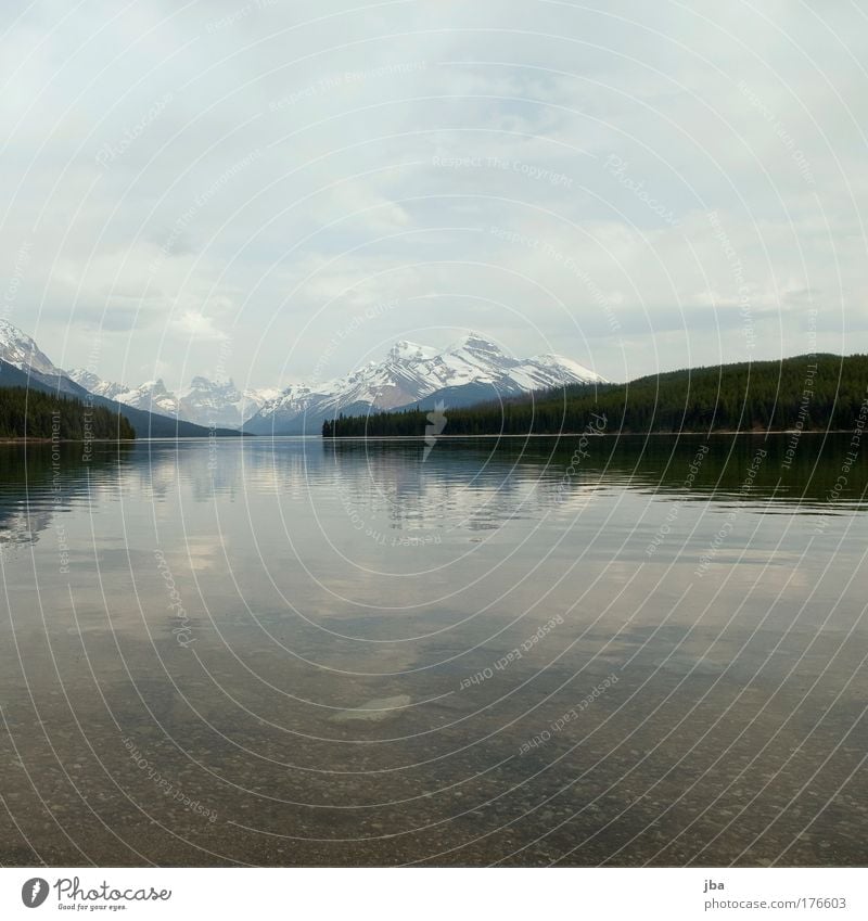 Maligne Lake Colour photo Exterior shot Deserted Copy Space top Copy Space bottom Day Vacation & Travel Tourism Summer Mountain Nature Landscape Water Clouds