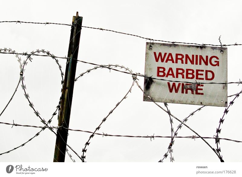 barbed wire love Colour photo Subdued colour Exterior shot Day Barbed wire Touch Threat Dark Thorny Red Protection Dangerous Mistrust Animosity