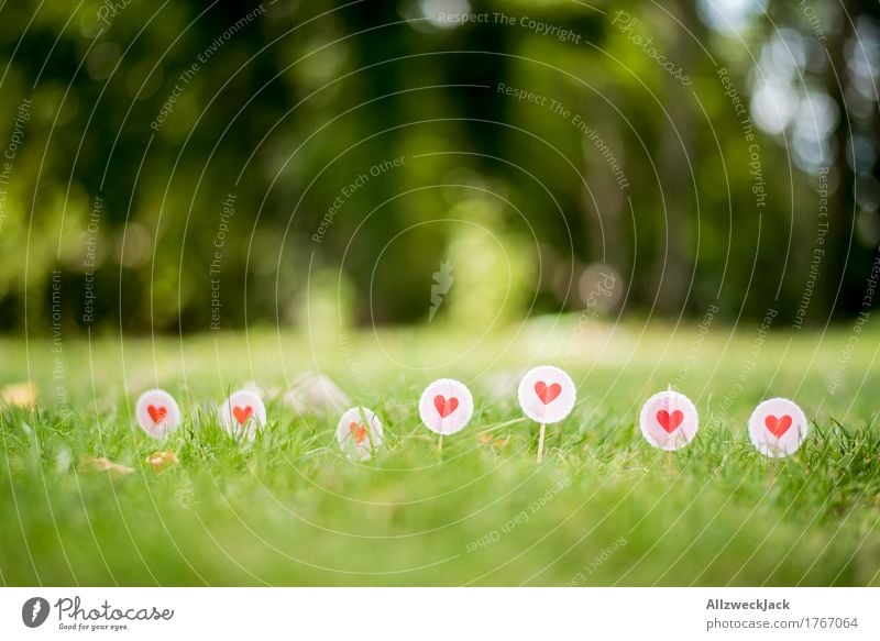 Love in the grass Nature Summer Grass Meadow Sign Signs and labeling Heart Border Colour photo Exterior shot Close-up Detail Deserted Day Deep depth of field