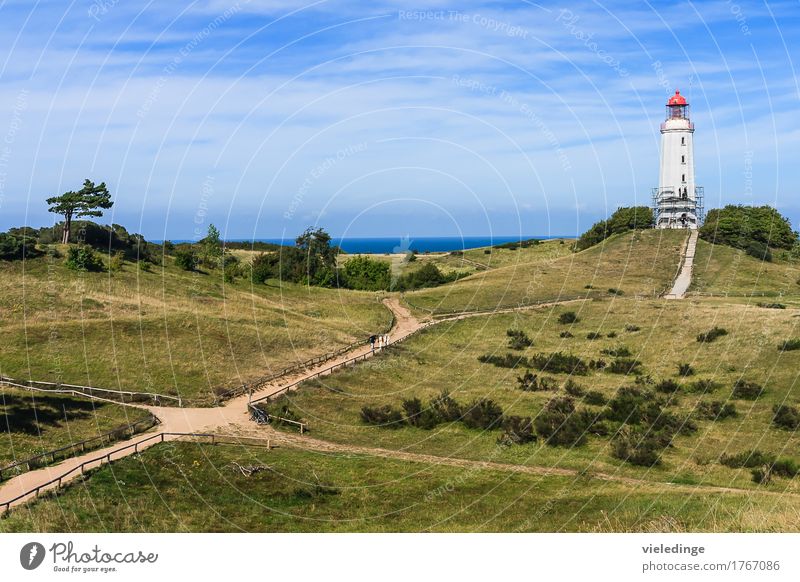 Lighthouse Dornbusch on Hiddensee Relaxation Vacation & Travel Tourism Far-off places Summer Summer vacation Ocean Island Hiking Nature Landscape Sky Tree Grass