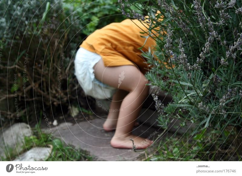 Fragrant hiding place Colour photo Exterior shot Day Children's game Baby Toddler Infancy Skin Bottom Legs Feet 1 Human being 1 - 3 years Summer Plant Grass