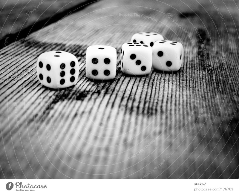 thrown together Black & white photo Macro (Extreme close-up) Contrast Shallow depth of field Cube Table Wood Playing Game of chance Disaster Throw dice