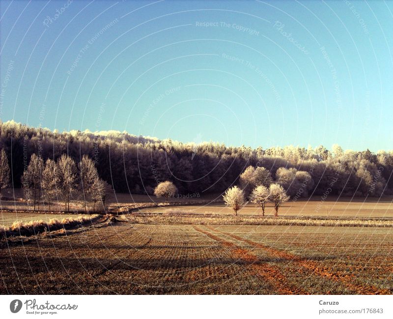 father frost Colour photo Exterior shot Deserted Morning Dawn Shadow Panorama (View) Environment Nature Landscape Earth Cloudless sky Winter Weather Ice Frost