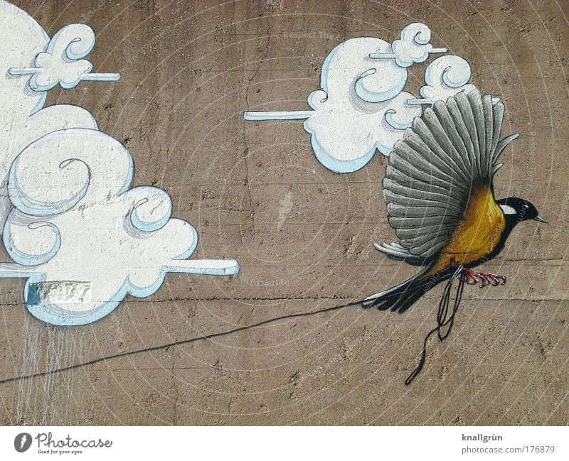 Fly! Colour photo Exterior shot Deserted Copy Space top Copy Space bottom Clouds Animal Bird 1 String Concrete To hold on Flying Brown Yellow Gray Black White