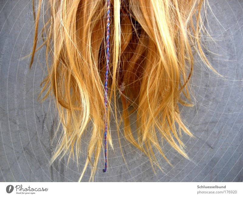 falling hair Beautiful Hair and hairstyles 1 Human being Blonde Long-haired Hang Glittering Bright Hip & trendy Feminine Gold Gray White Relaxation Ease Line