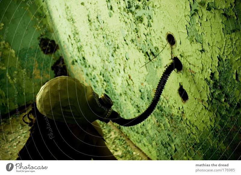 A WALL SNIFFER Colour photo Interior shot Day Twilight Shadow Contrast Silhouette Sunlight Deep depth of field Bird's-eye view Upper body Looking away Masculine