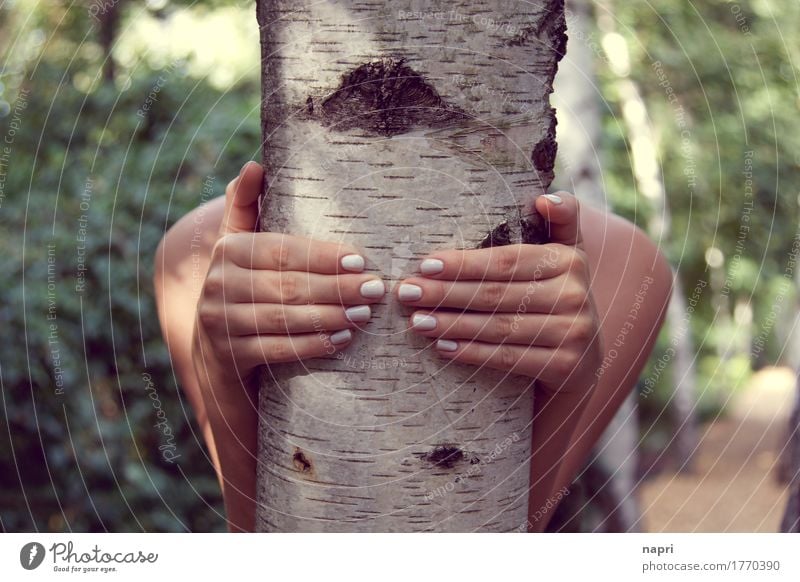 Come on, let's go to the birch forest... Feminine Young woman Youth (Young adults) Hand Fingernail 1 Human being 13 - 18 years 18 - 30 years Adults Tree