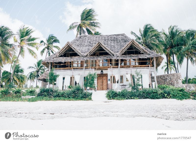 Zanzibar V Lifestyle Luxury Elegant Style Design Well-being Relaxation Calm Living or residing Flat (apartment) House (Residential Structure) Dream house Nature
