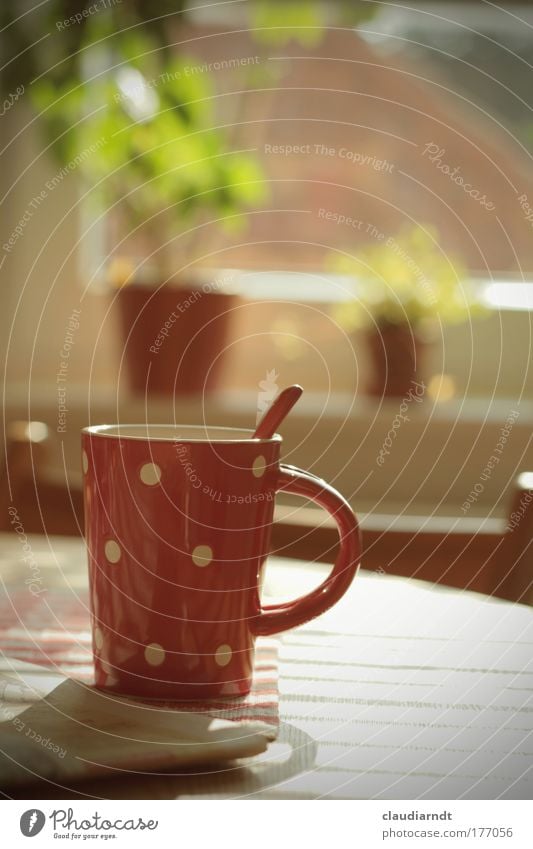 dot break Colour photo Interior shot Deserted Copy Space right Copy Space top Day Shadow Shallow depth of field Food Beverage Drinking Hot drink Hot Chocolate