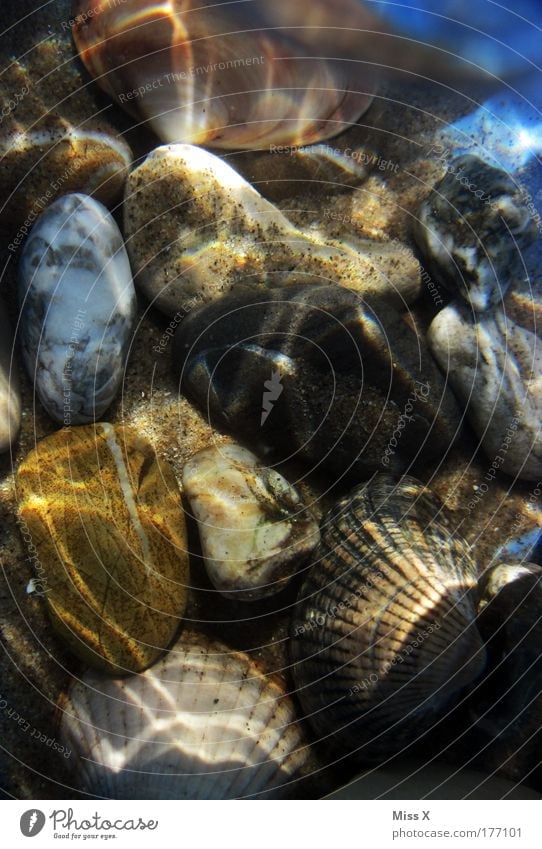 More sea Colour photo Multicoloured Close-up Detail Underwater photo Deserted Shadow Reflection Sunlight Bird's-eye view Vacation & Travel Tourism Summer