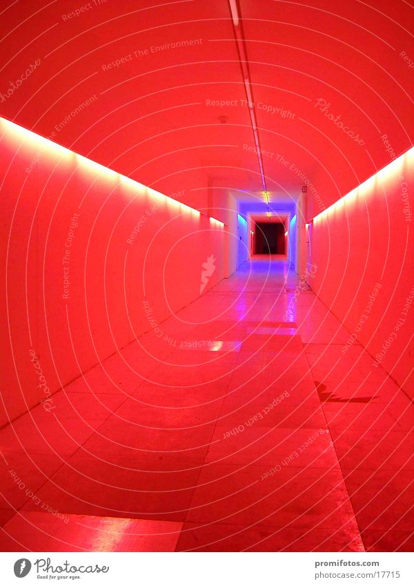 Colorfully illuminated tunnel in a building. Photo: Alexander Hauk Lamp Tunnel Colour Things Corridor Light Light art Art manner Visual spectacle enlightenment